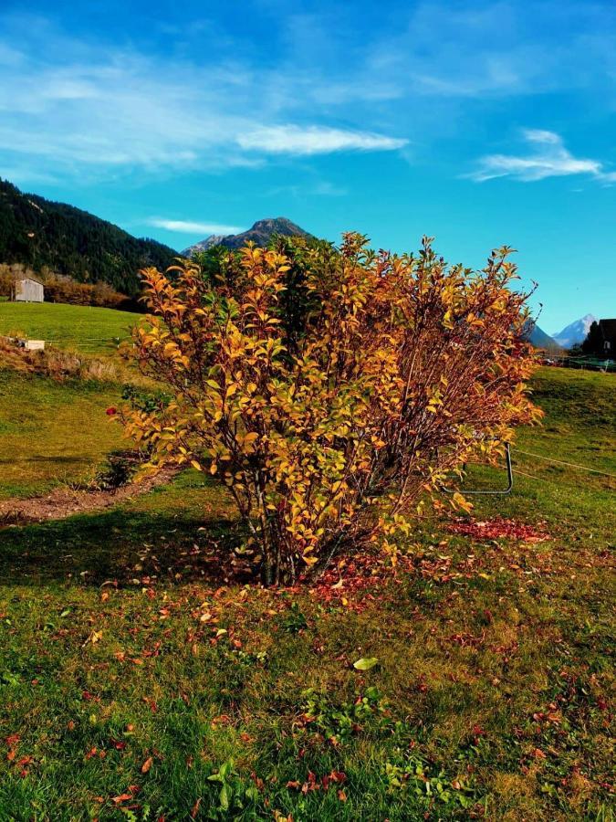 Loretz Liane Sankt Gallenkirch Ngoại thất bức ảnh
